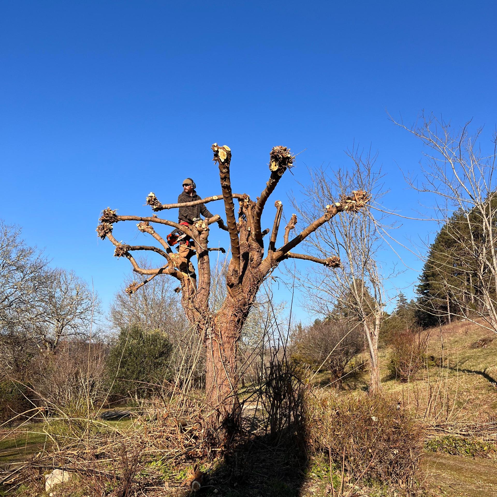 6694e14f 773a 48e8 bab4 c17c754d7c8a 1